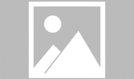 天麻豆功效与吃法,养生佳品，功效与食法全解析