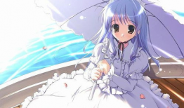 少女动漫画,少女动漫画的梦幻世界